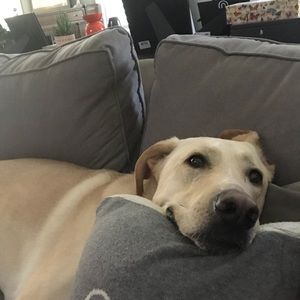 Meet your Posher, Haley